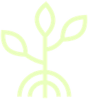 plant-outline